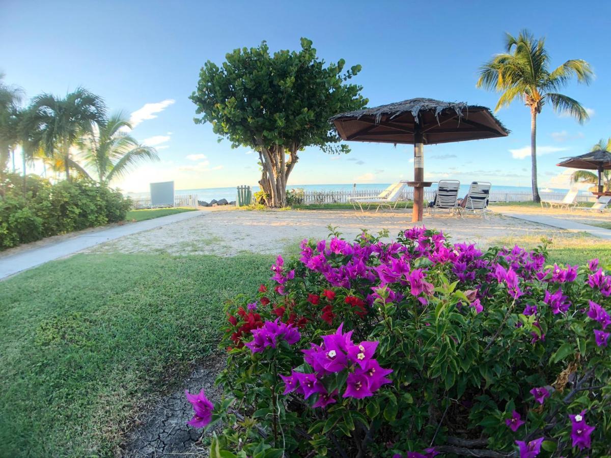 Dickenson Bay Oasis At Antigua Village St. John's Extérieur photo